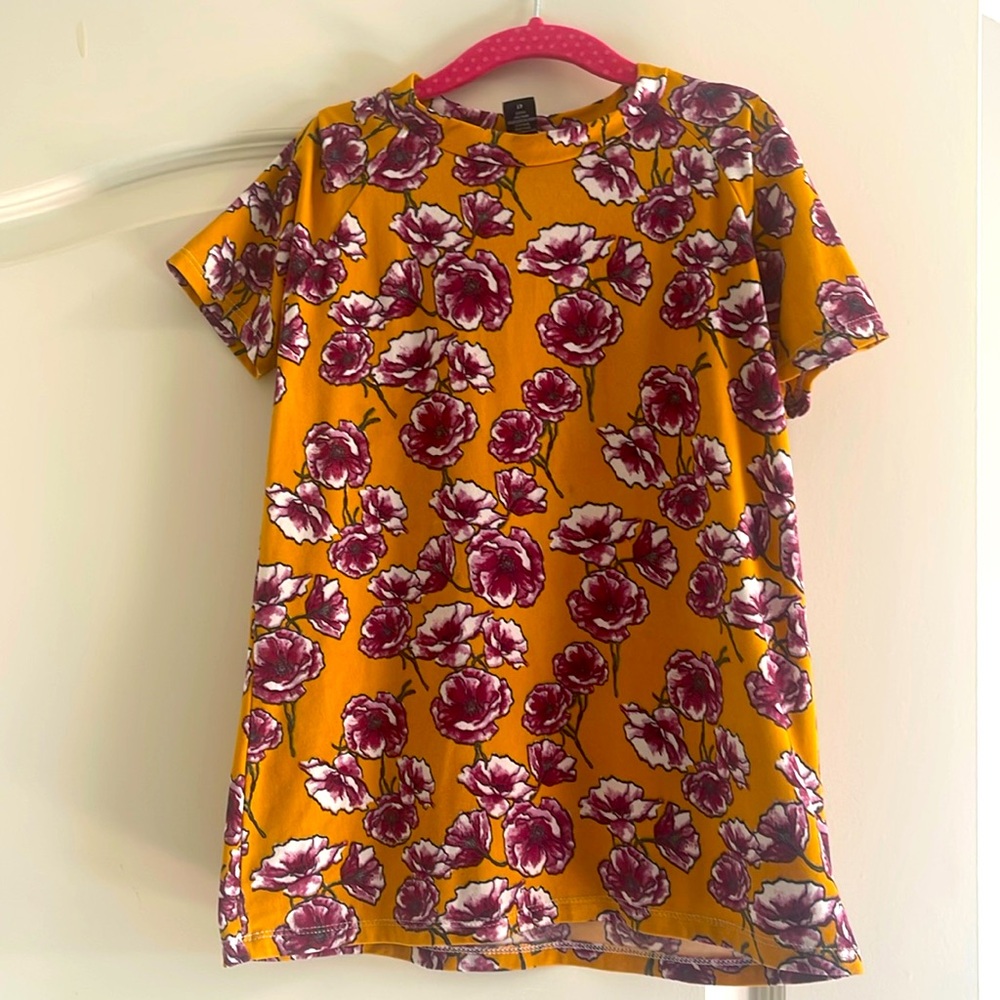 Little Rango Tshirt Dress. Size 4T